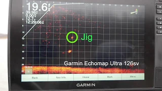 Garmin Echomap Ultra 126sv used with LVS32 and GLS10 Black Box