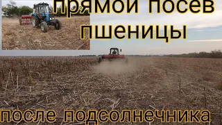 ПРЯМОЙ ПОСЕВ ,ПОСЛЕ ПОДСОЛНЕЧНИКА,ОЗИМОЙ ПШЕНИЦЫ С СЗ -3.6.NO-TILL UKRAINE.