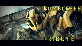 WE ARE HERO'S - BUMBLEBEE TRIBUTE (music video)