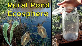 Creating a Rural Pond ECOSPHERE in the WINTER │ Can You  Build an Ecosphere During the Winter?