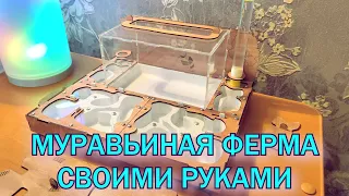 Муравьиная ферма своими руками. 3D печать, акрил, гипс, фанера