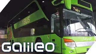 Flixbus - Wie wurde das Start-up so erfolgreich? | Galileo | ProSieben