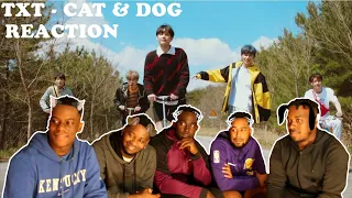 TXT (투모로우바이투게더) 'Cat & Dog' Official MV | REACTION