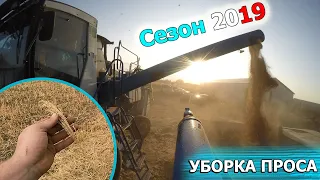 НАСТРОЙКА КОМБАЙНА ПОД ПРОСО. ВСЕ НЮАНСЫ УБОРКИ ПРОСА.