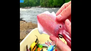 Sea Animal Toys for Kids