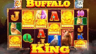INSANE 6 Scatter bonus on Buffalo King Megaways!