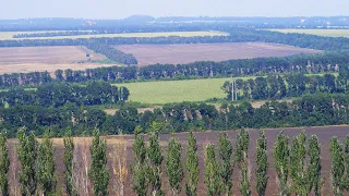Agroforestry in Ukraine  - Policy Brief Launch