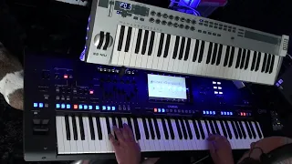 Avicii   Wake Me Up Cover By Albert on Yamaha Genos