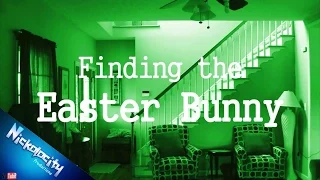 Finding The Easter Bunny
