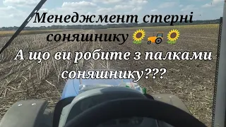 Менеджмент стерні соняшнику🌻🌻🌻Рубати чи дискувати???😅😅😅