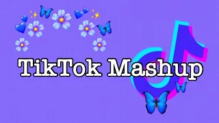 ✨Tik Tok Mashup✨(Not Clean)