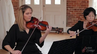 Theme from 'Up' - Married Life | Michael Giacchino | String Quartet Cover