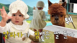 [VLOG] PERFECT FAMILY TRIP(SWIMMING POOL, BBQ, RESTAURANT)🤩 TRIP TO KOREA, AIRBNB