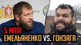 АЛЕКСАНДР ЕМЕЛЬЯНЕНКО против ГАБРИЭЛЯ ГОНЗАГИ на RCC 2