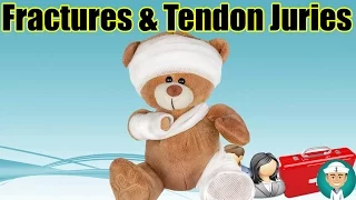 Fractures and Tendon Muscle Joint Injuries