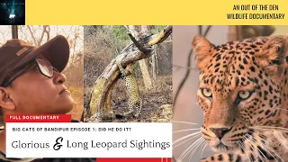 Glorious Leopard Sighting with Intelligent Tracking | Wildlife Documentary of Bandipur National Park