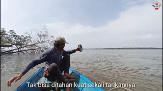 Seconds of big fish grabbing the bait in front of the boat#Bamboo rod fishing