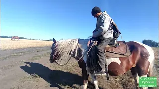 Жеребец Суффикс вернулся.| Зорька не выдержала.