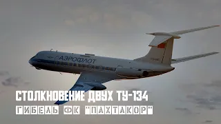 Тайна крушения Пахтакора. Столкновение ТУ-134 над Днепродзержинском