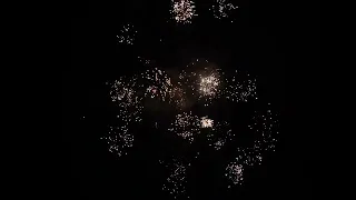 JOY2049-2 0.8'' 49 SHOT CAKE#fireworks #fuegosartificiales #pirotecnia #pyro