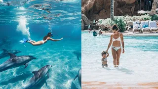 Snorkeling with Dolphins in Hawaii - Unbelievable Family Adventure!