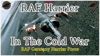 RAF Harrier In The Cold War | RAF Germany Harrier Force | #harrier #coldwar #russia #raf #germany