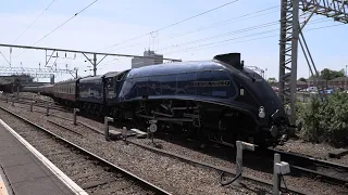 Sir Nigel Gresley at Crewe