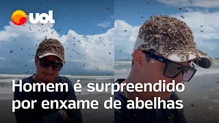 Homem é surpreendido por enxame de abelhas no boné em Jericoacoara (CE); veja vídeo