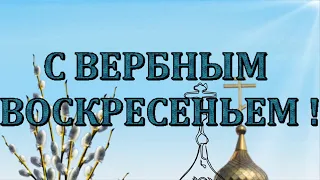 С ВЕРБНЫМ ВОСКРЕСЕНЬЕМ. ВИДЕО ПОЗДРАВЛЕНИЕ с Вербным Воскресеньем. Вербное воскресенье