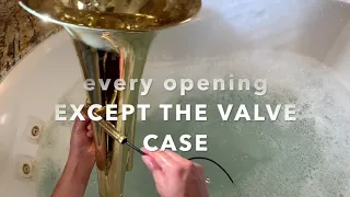 Euphonium Cleaning