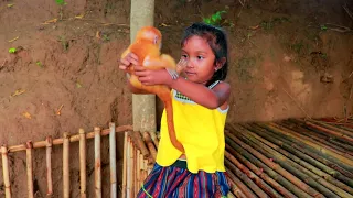 Primitive Life Village - Mother chases chicken to cook - Cute baby monkey Eating delicious chicken