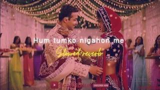 Hum tumko nigahon me(slowed+reverb) lofi song | #shreyaghoshal and #uditnarayan song | lofi music