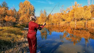 СПІНІНГ СТОГНЕ - ЩУЧА ЛЮТЬ НЕ ЗНАЄ МЕЖ! Ловля щуки на джиг. Рибалка на спінінг восени на щуку 2022