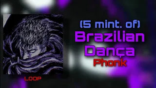 Perfect 5 minute loop of specific part of - BRAZILIAN DANÇA PHONK