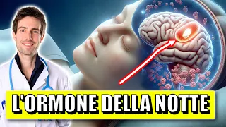 I poteri della MELATONINA: funzioni, usi e rischi spiegati da un medico