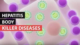 KILLER DISEASES | How the Body Reacts to Hepatitis