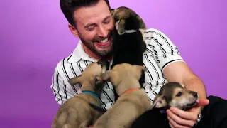 クリス・エヴァンスが子犬たちにデレデレすぎてインタビューにならない Chris Evans: The Puppy Interview