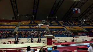 BLACK Elsabeth (CAN) - 2018 Artistic Worlds, Doha (QAT) - Qualifications Vault 1