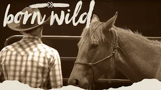 Training A Wild Horse In An Hour - Live Thursday