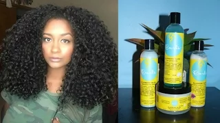 Curly Hair Routine With Frizz Free CURLS | Blueberry Bliss