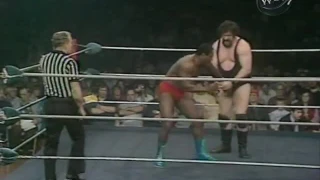 WWF All Star Wrestling 3/7/81