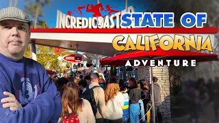 SHOCKING crowds at California Adventure! | State of DCA report 02/13/24