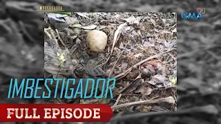 Imbestigador: ANG KALANSAY SA GUIMARAS