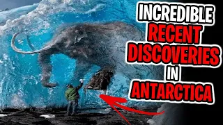 6 INCREDIBLE Recent Discoveries in Antarctica