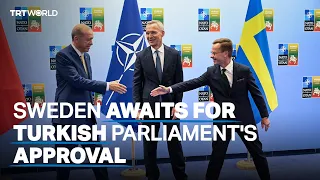 Erdogan: Sweden backs terror fight for NATO bid