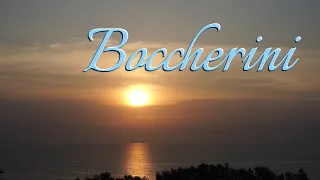 Boccherini's Masterpieces in the Golden Skies