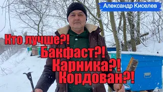 Кто лучше?! Бакфаст, карника или кордован? В гостях у Александра Киселева…