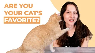 How Cats Choose Their Favorite Person (Is it You?)