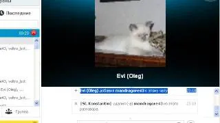 Слив Evi (Олег)