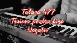 Taiesc pentru Tine - Negativ Tabara 477